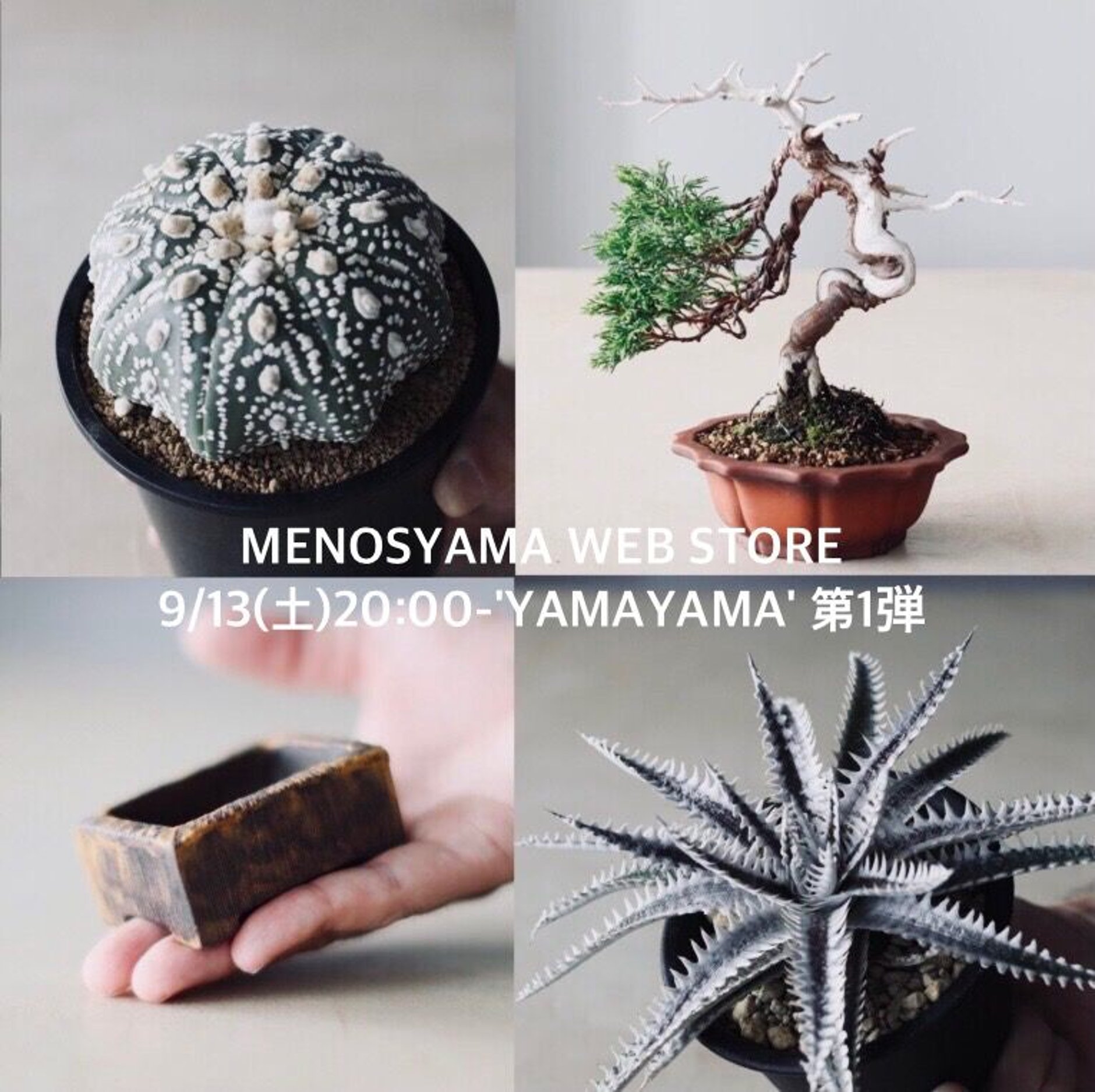 芽の巣山