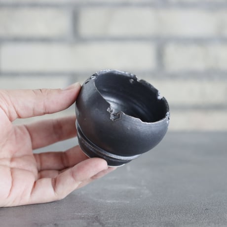 takero pot / mushikui / テツ (2.5号)  no.531-55