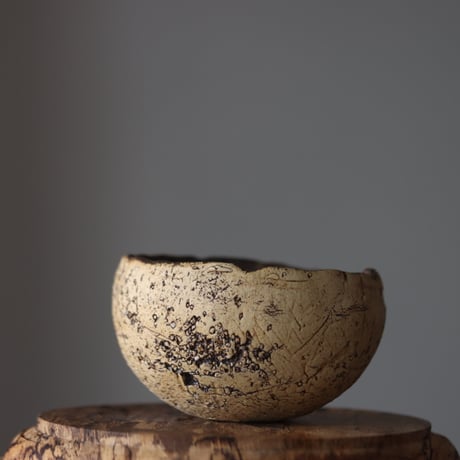 Kaori Ono / gaia / humanity pot   no.818-31