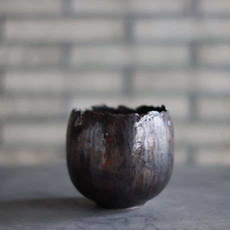 Shu Hirai -Connecting Rajasan and The Sun- / PLANETX (3.5号)  no.511-43