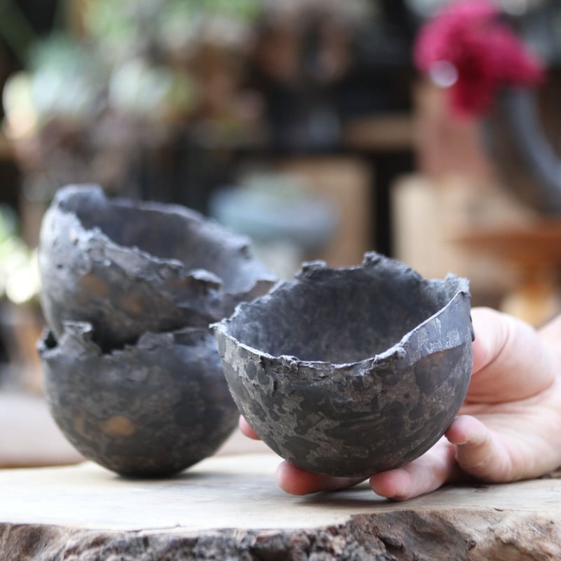 たけろうポット／クロサビ／チギリ／M no.1106-46 | 芽の巣山