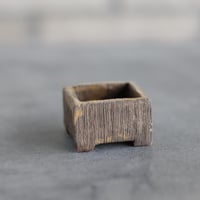 KEI CONDO (盆栽鉢1.5号) / twinz bonsai  no.1116-88