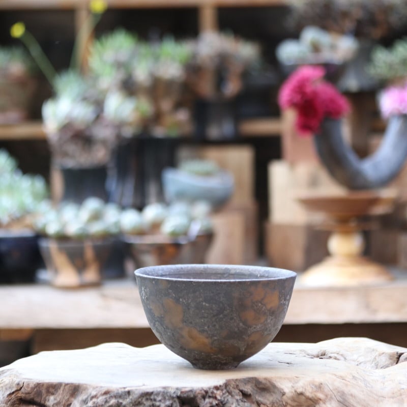 MASSES × 芽の巣山 / TAKERO POT CATEGORY YAMABACHI var. takero pot | 芽の巣山