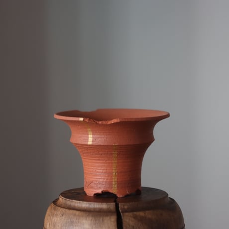 CATEGORY 2025/2/2 20:00~ | 芽の巣山