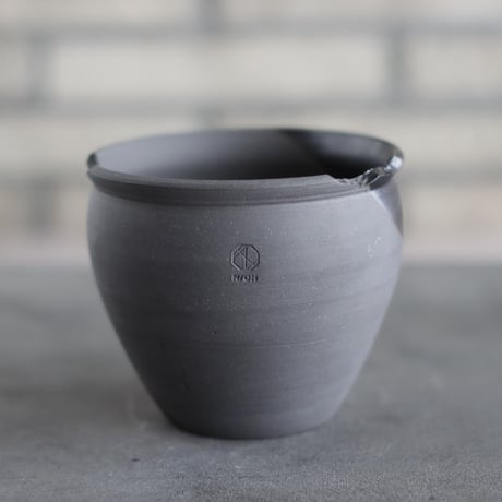 CATEGORY 4号鉢 | 芽の巣山