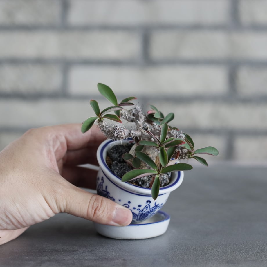 68662aa9bf7b8f288ec6ef2c