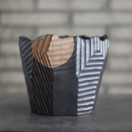 CATEGORY 大鉢 | 芽の巣山