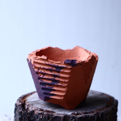 STORES 観葉植物の検索結果