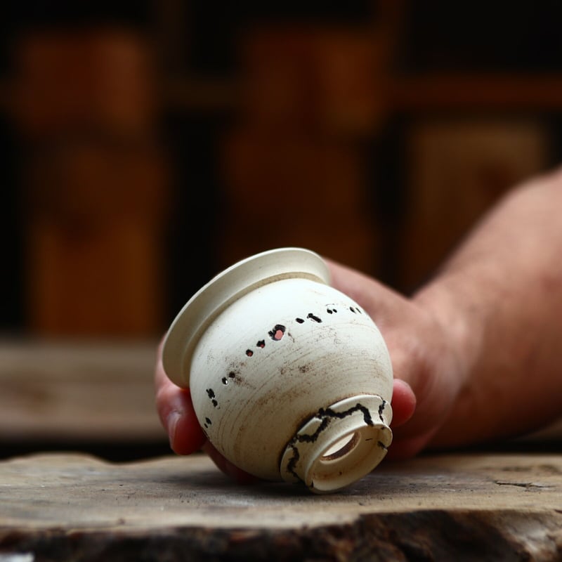 たけろうポット/ハク/ムシクイset (マメツボ) no.402-92 | 芽の巣山