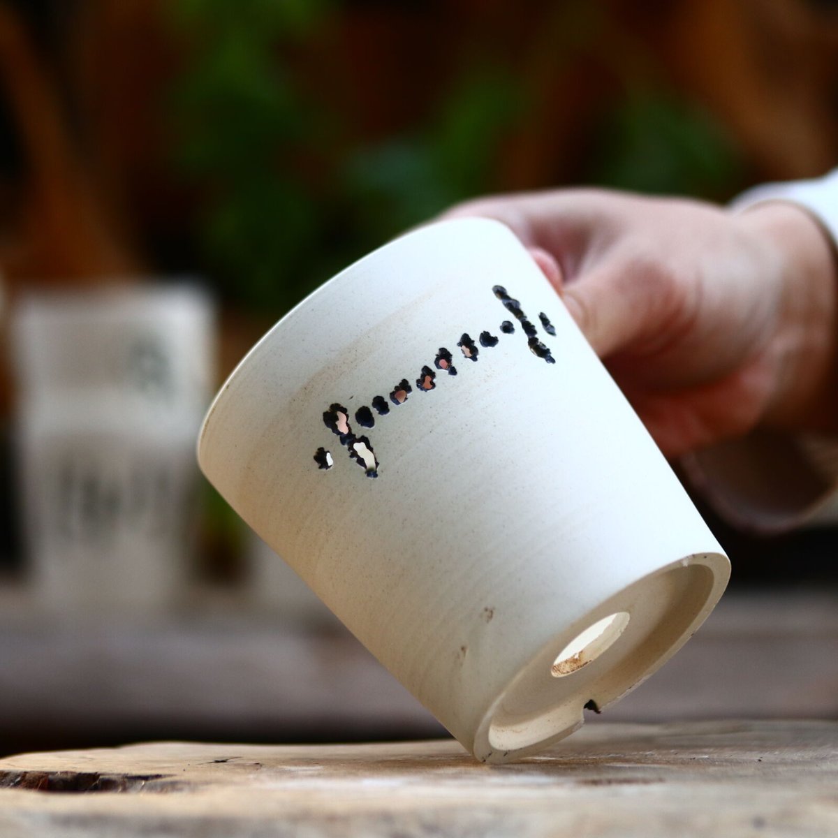 たけろうポット/ハク/ムシクイ/シリンダーL no.219-127 | 芽の巣山