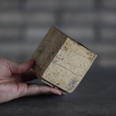 Kaori Ono / gaia / humanity pot (2.5号)  no.831-110