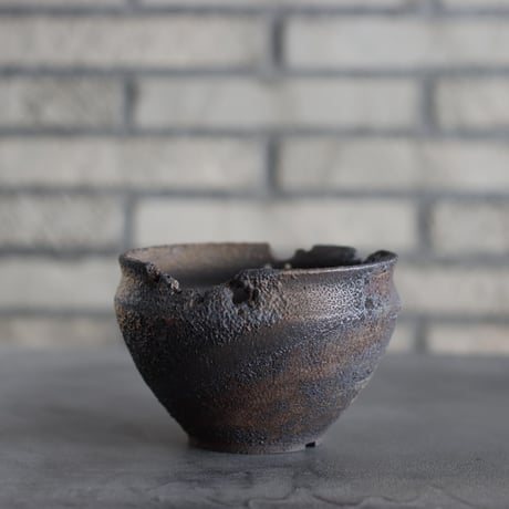 CATEGORY たけろうポット | 芽の巣山