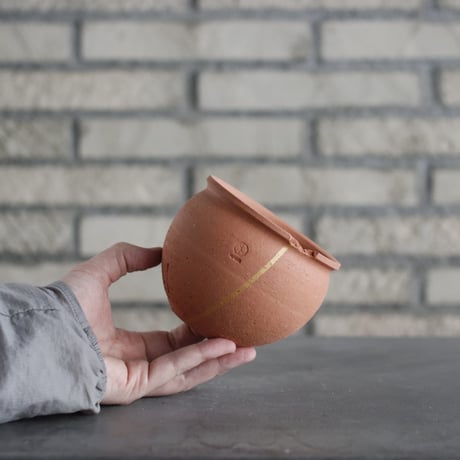 N/OH / コロ鉢 / Persimmon＋Line / SS (3.5号)   no.215-98