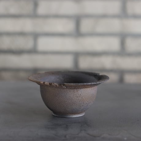 CATEGORY たけろうポット | 芽の巣山