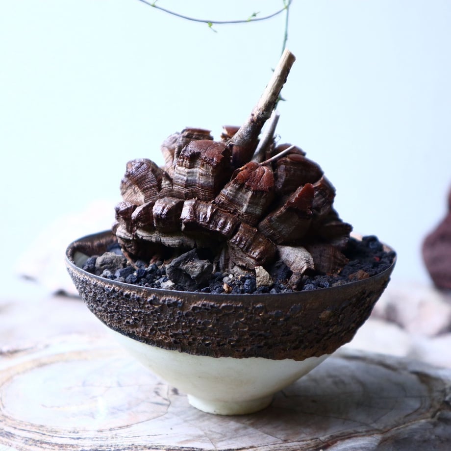 5db26c81bc45ac05a308793a