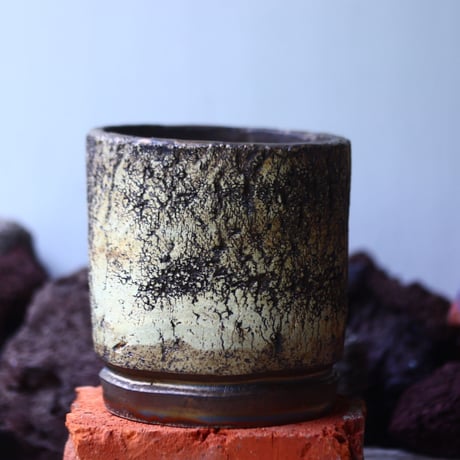 Kaori  Ono 〝gaia″   /   humanity pot       no.42510