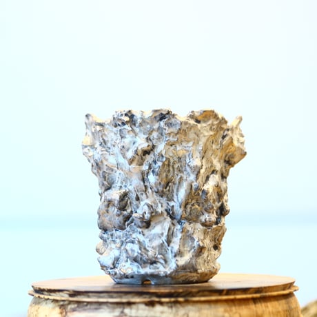 Yuta Uchida / silver rust monst / humanity pot    no.1231-78
