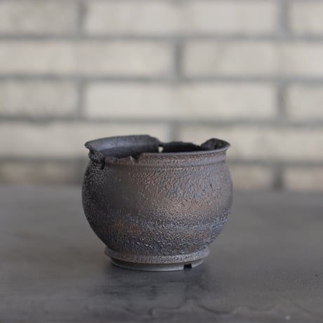 CATEGORY たけろうポット | 芽の巣山