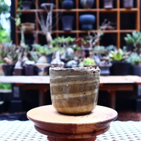 Mie  Maeda 〝swirl″   /   humanity pot       no.539