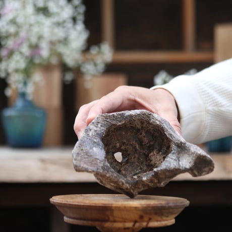 【TENN】Pot / TAKERO POT  no.1225/100