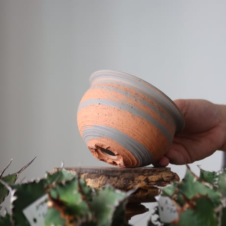 N/OH / MARBLE NOHBLE / コロ鉢 / SS   no.421-49