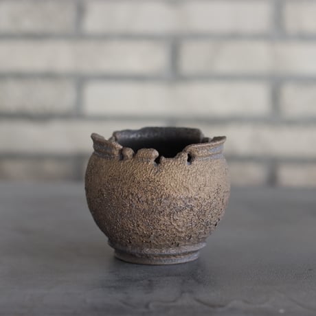 CATEGORY たけろうポット | 芽の巣山