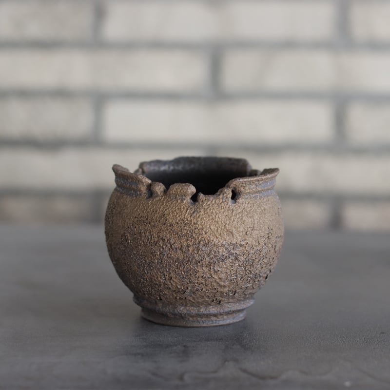 takero pot / モミテツ (3.5号) no.1228-205 | 芽の巣山