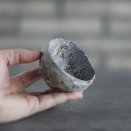 TAKERO POT / Shirosabi  (3号)   no.803-110