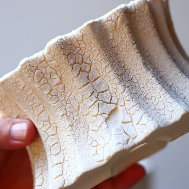 Rintaro Nonaka〝soso/礎礎 ″ セット(A)