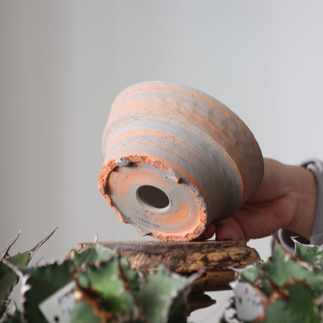 N/OH / MARBLE NOHBLE / M12 / SS    no.421-15