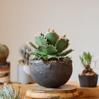 N/OH 澪標　山ノ月　ブラックsサイズ N/OH【澪標-芽の巣山別注】山ノ月ブラック+ moon / S no.717/200