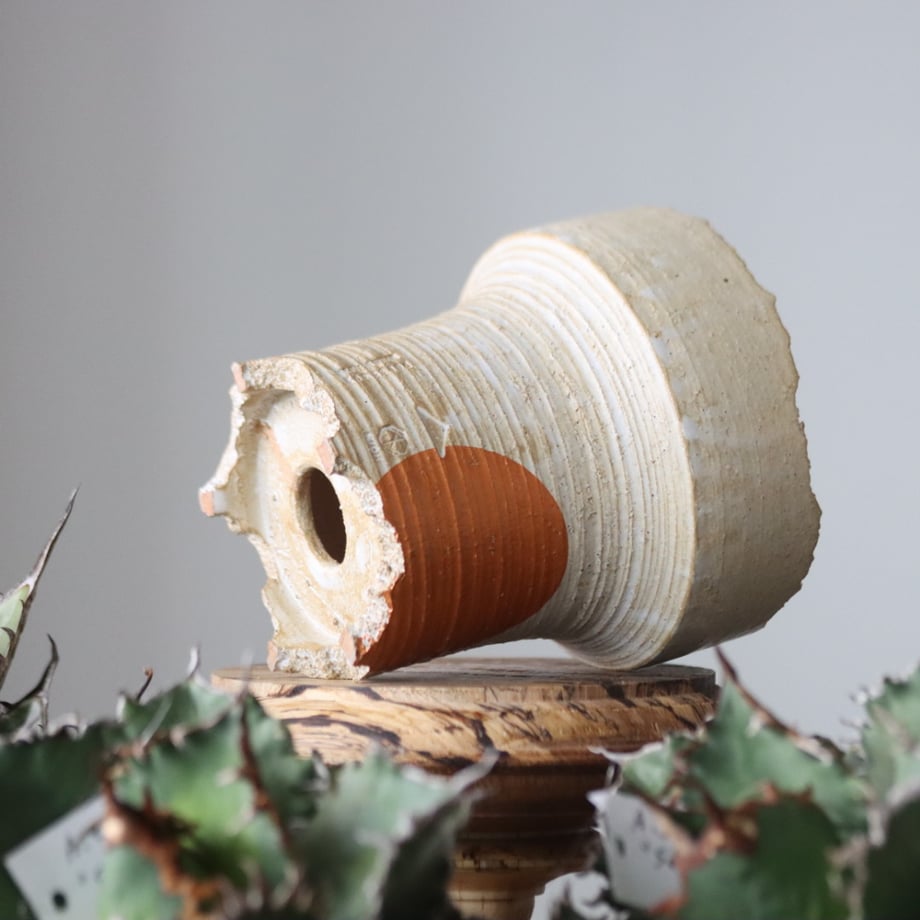 6623d7556d07c14d45983368