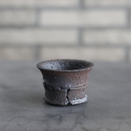 TAKERO POT / モミ / (2.5号) no.1116-74
