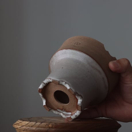 N/OH / M12 / kruk yellow / SS   no.728-116