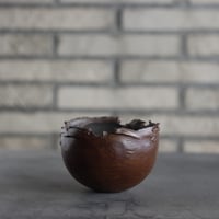 たけろうポット〝 tsubos ″ テツ no.101177 | 芽の巣山