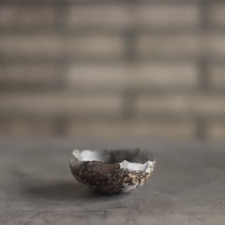 CATEGORY 2025/9/28 20:00~ | 芽の巣山