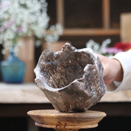 【TENN】Pot / TAKERO POT  no.1225/93