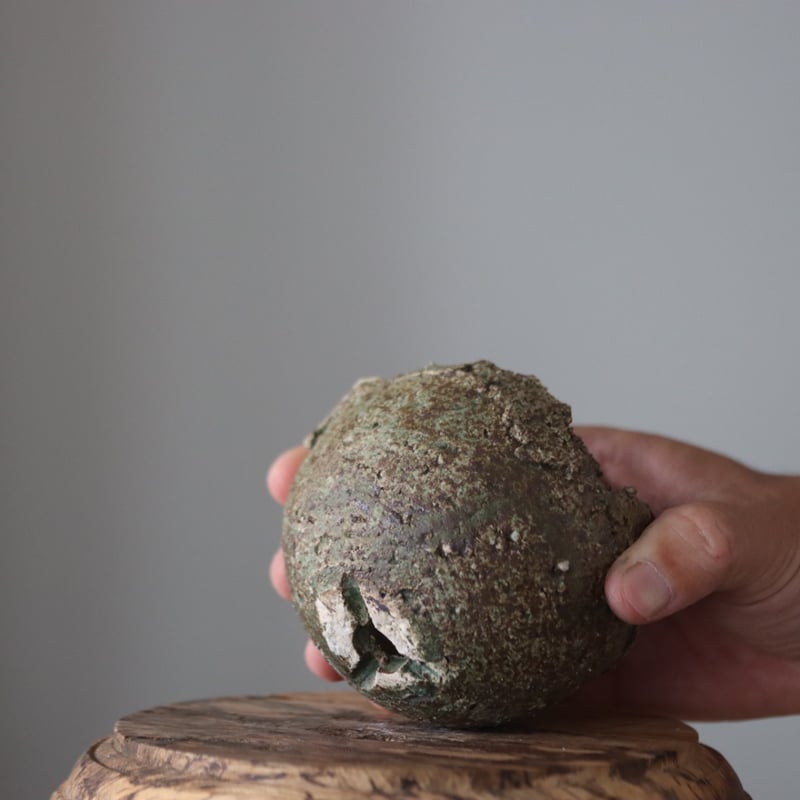 たけろうポット / チギリ / カリウド(ミドリ) / S no.929/6 | 芽の巣山