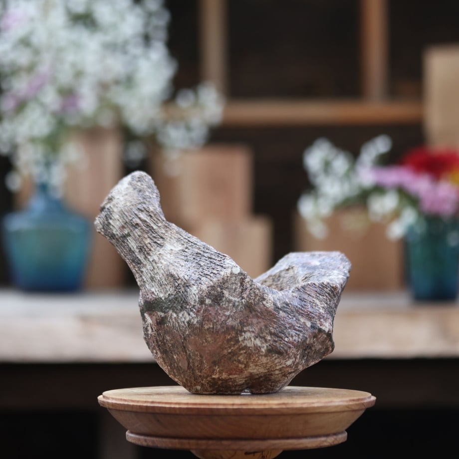 63a6a7dece31d13722645aab