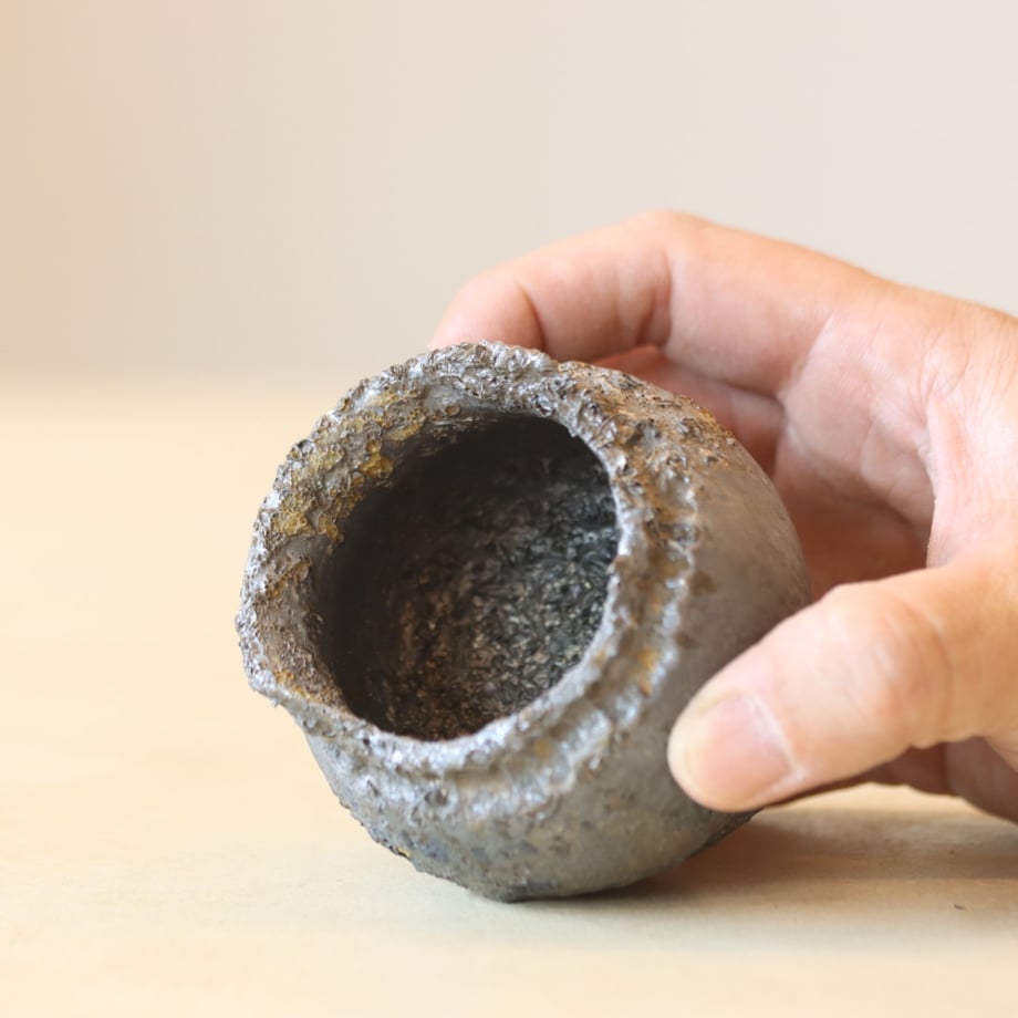 67c2838eb363bc07a1e98695