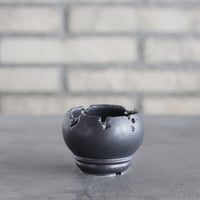 takero pot / mushikui / テツ (2.5号)  no.531-55