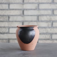 たけろうポット アサチギリ / コクコク / LL no.213-16 | 芽の巣山