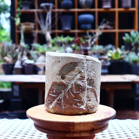 Mie  Maeda 〝seals″   /   humanity pot       no.543