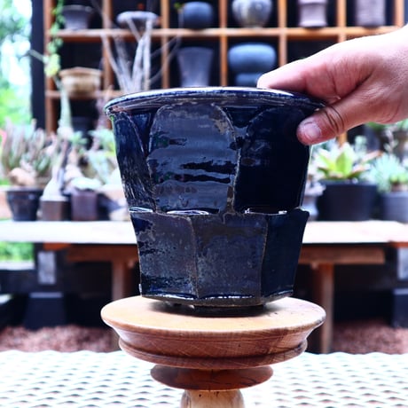 Tadao  Akutsu 〝瑠璃油″ ／ humanity pot       no.582