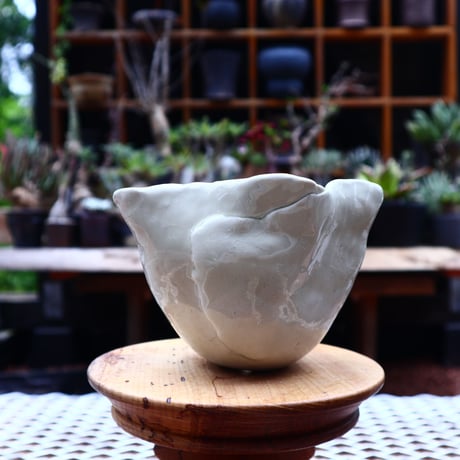 Mie  Maeda 〝blanco″   /   humanity pot       no.536