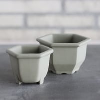 Konect / nos pot / Olive  no.628-1