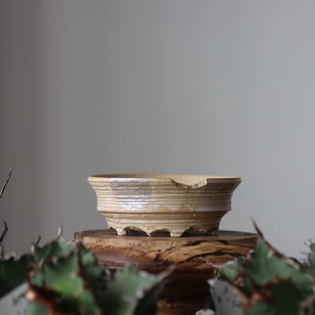 N/OH / MARBLE NOHBLE + Moon / M12 / XS   no.421-142