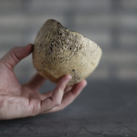 Kaori Ono / gaia / humanity pot (3号)  no.831-113