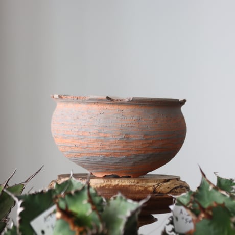 N/OH / MARBLE NOHBLE / コロ鉢 / S   no.421-37