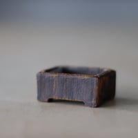 KEI CONDO (盆栽鉢 2.5号) / twinz bonsai no.913-88